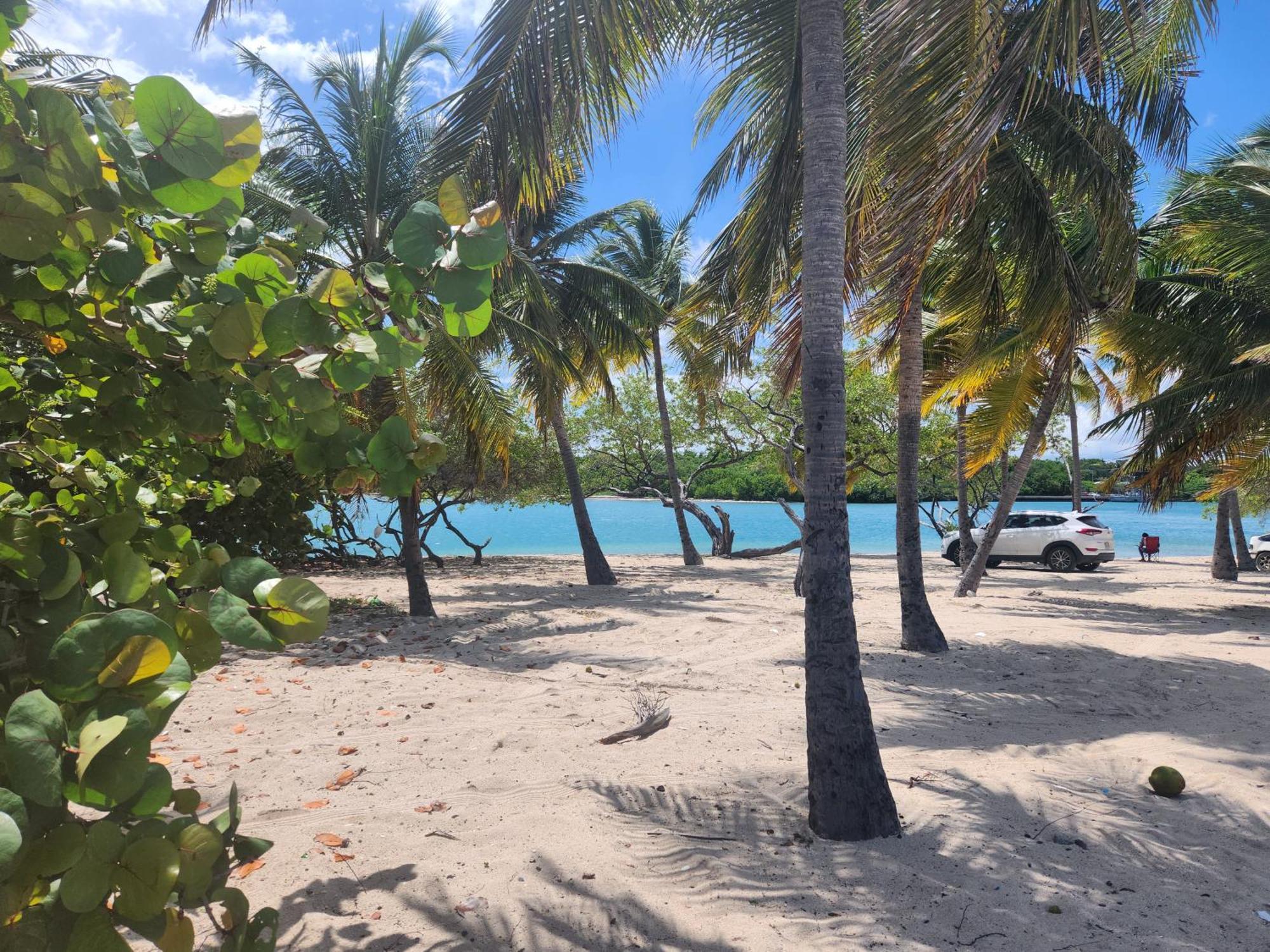 Casita Linda Larimar - 2Br Apartment With Rooftop, Bay Views, Fast Wifi, Near Beach In Barahona エクステリア 写真